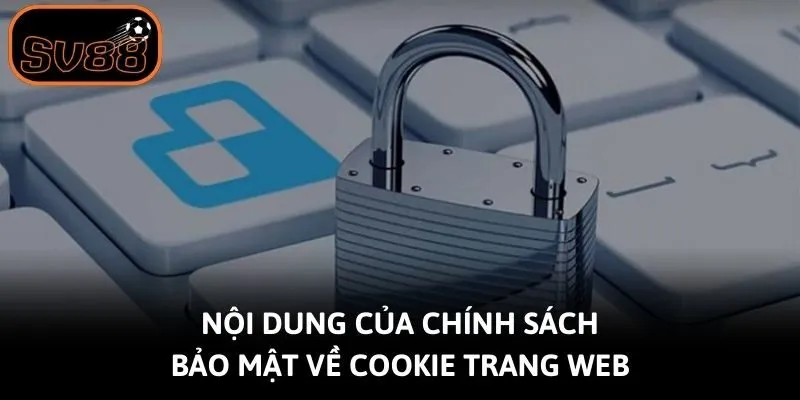 Nội dung của chính sách bảo mật về cookie trang web